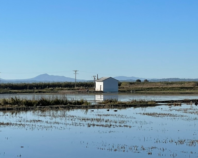 Alfbura National Park Valencia